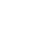 Blue Guardian White Logo