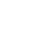 FTMO White Logo