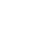 Funding Pips White Logo